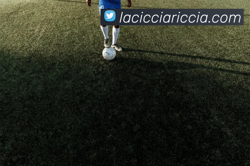 App Interface Preview